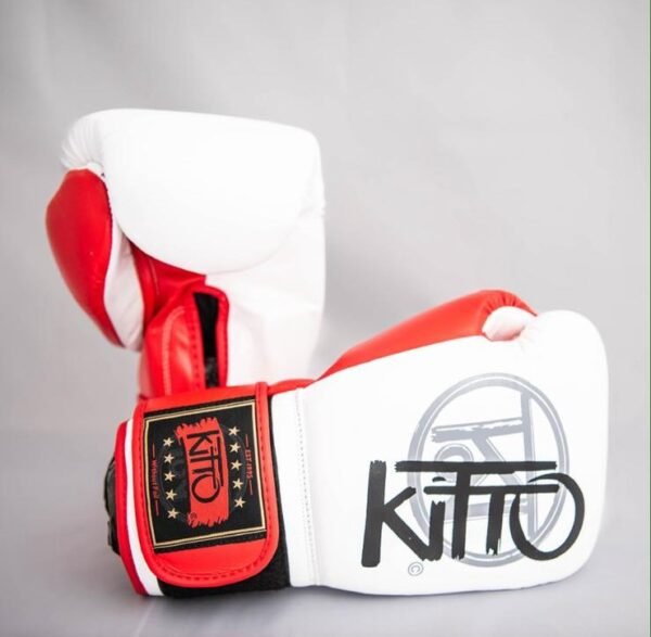 Standard Boxing Gloves